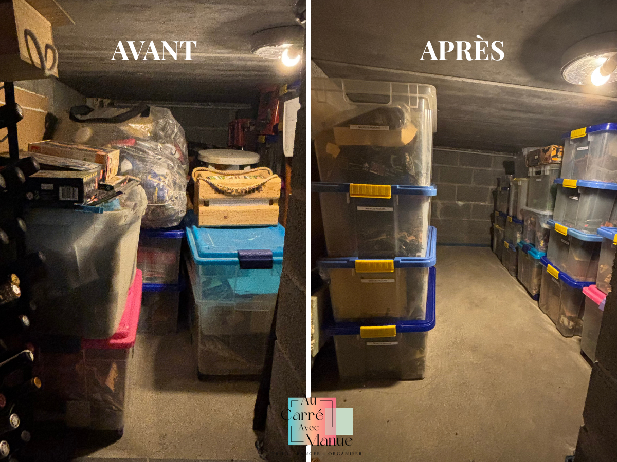 Avant (12)
